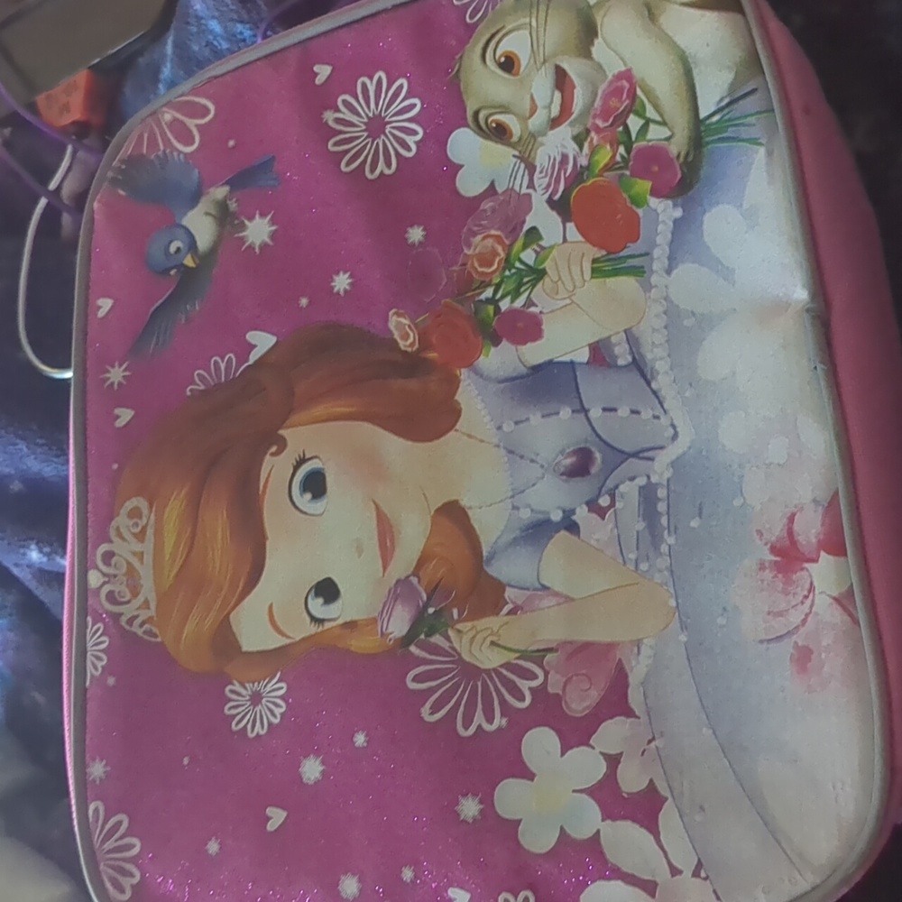 Sofya the first lunchbox